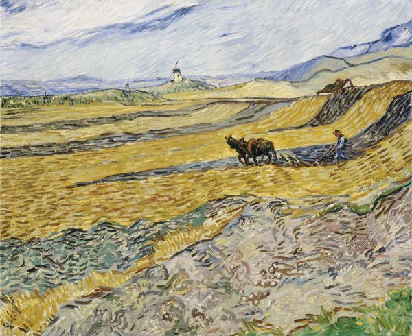 Enclosed Field with Ploughman