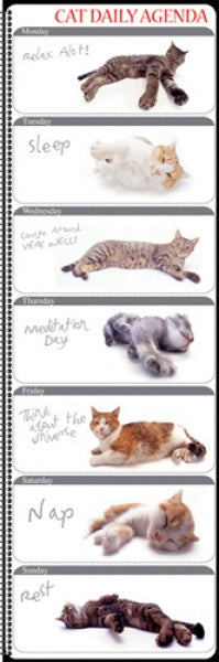 Cat Agenda
