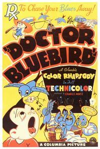 Doctor Bluebird