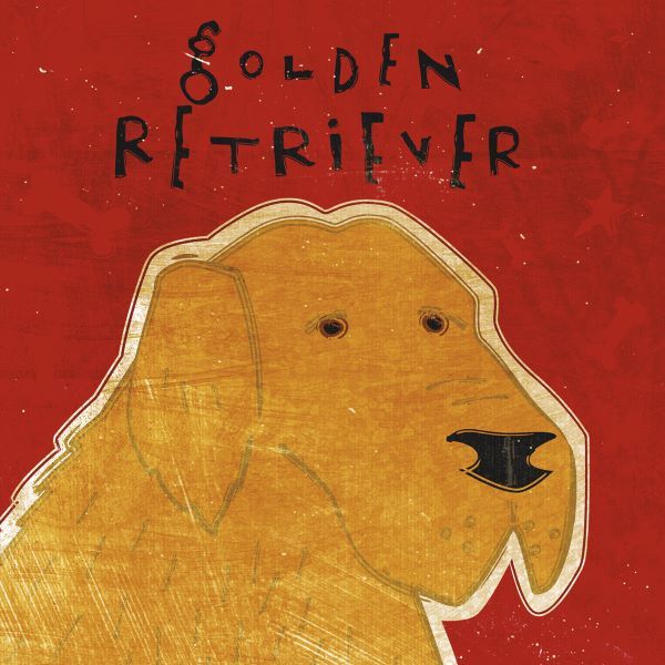 Golden Retriever (square)