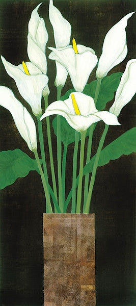 Ivory Calla Lilies