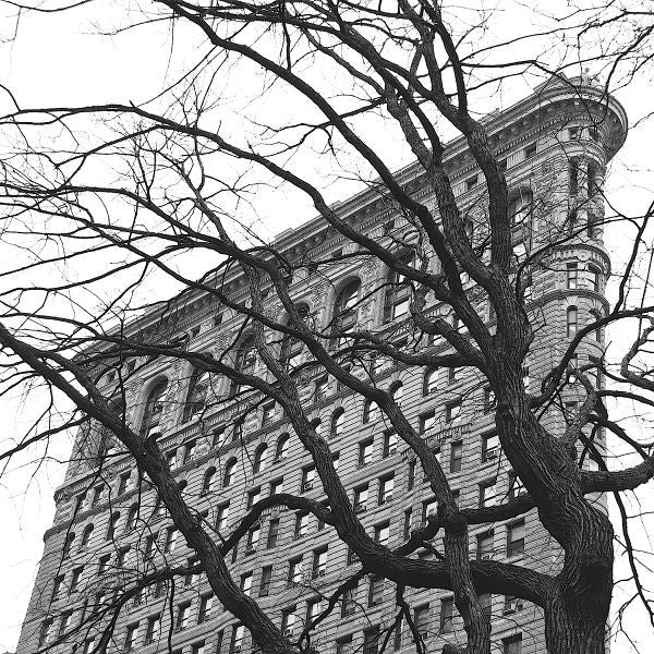 Flatiron with Tree (b/w) (detail)