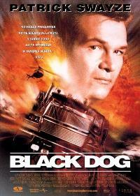 Black Dog