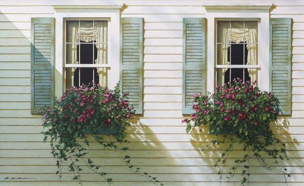 Window Boxes