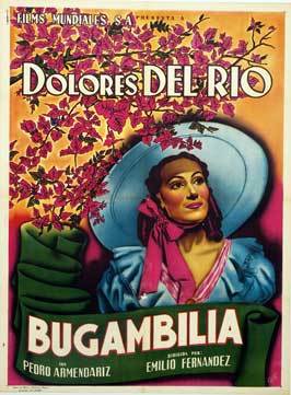 Bugambilia