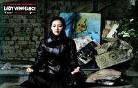 Sympathy for Lady Vengeance