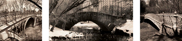 Central Park Bridges (tryptych)