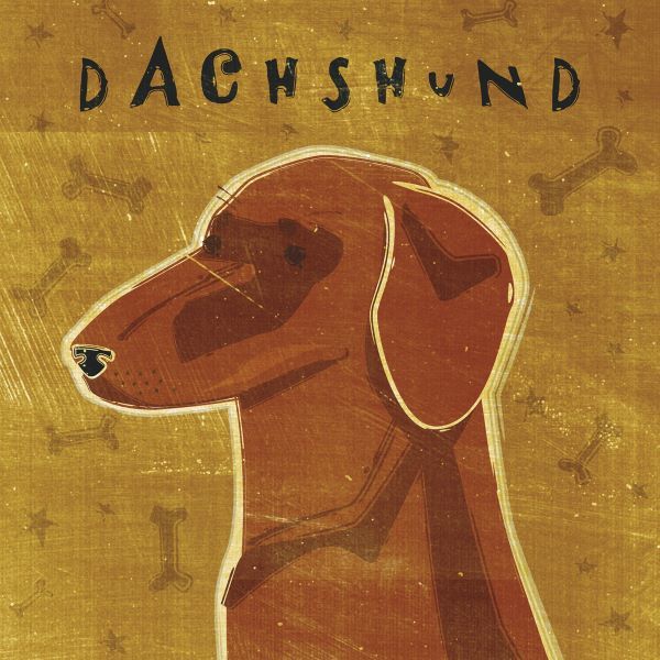 Dachshund (red) (square)