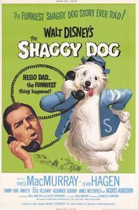 The Shaggy Dog