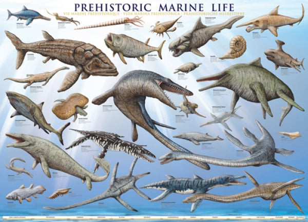 Prehistoric Marine Life