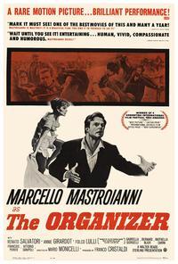 The Organizer