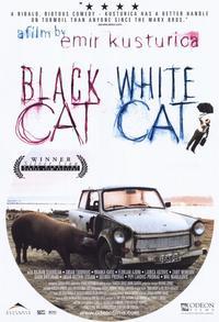 Black Cat, White Cat