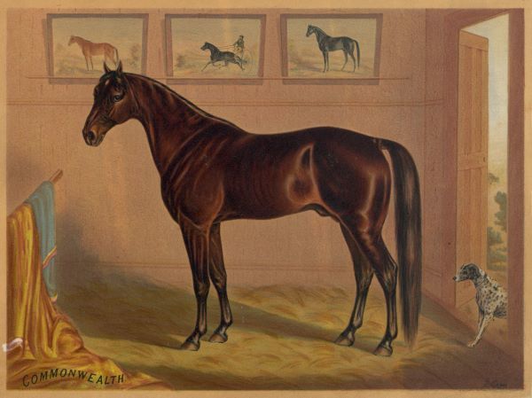 America's Renowned Stallions, c. 1876 IV