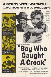 Boy Who Caught a Crook