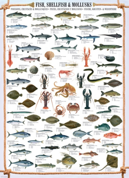 Fish, Shellfish and Mollusks