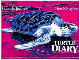 Turtle Diary