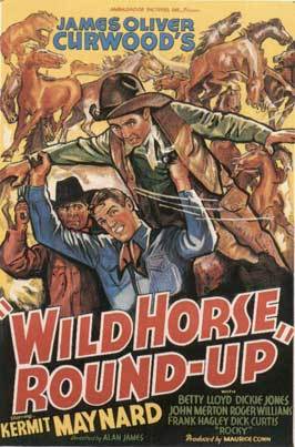 Wild Horse Roundup