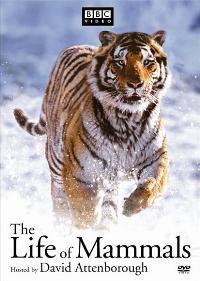 The Life of Mammals (TV)