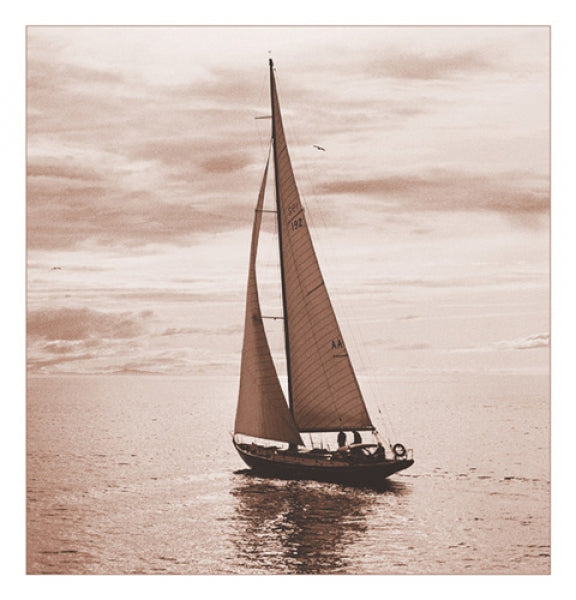 Sailing V