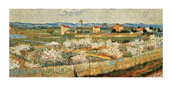 Peach Trees in Blossom