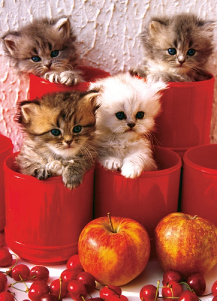 Kittens in Pot
