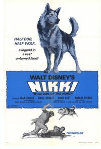 Nikki Wild Dog of the North