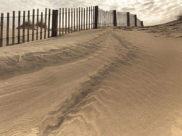 Beach Fence