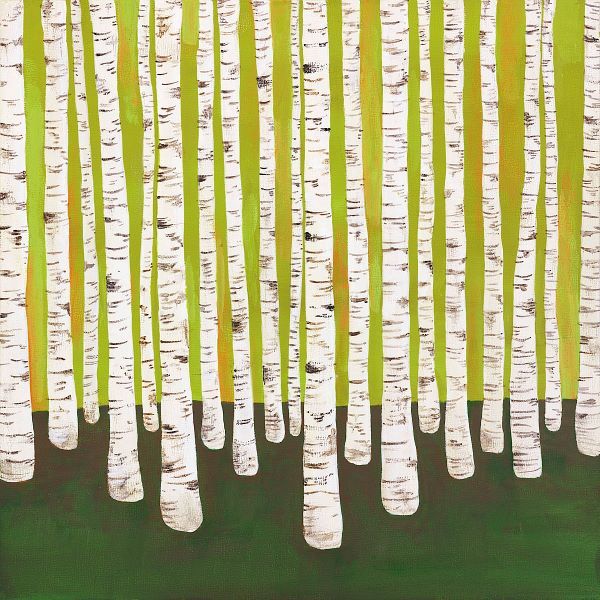 Birch Forest