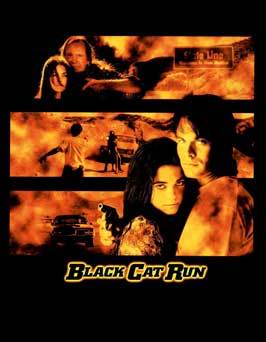 Black Cat Run