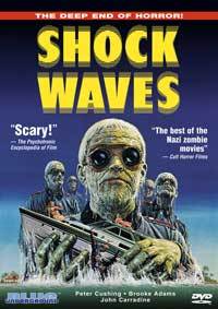 Shock Waves