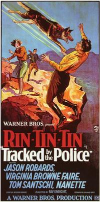 Tracked by the Police