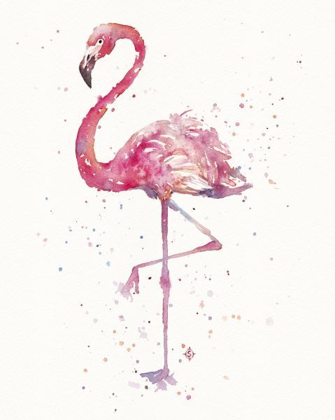 A Flamingoâ€™s Fancy