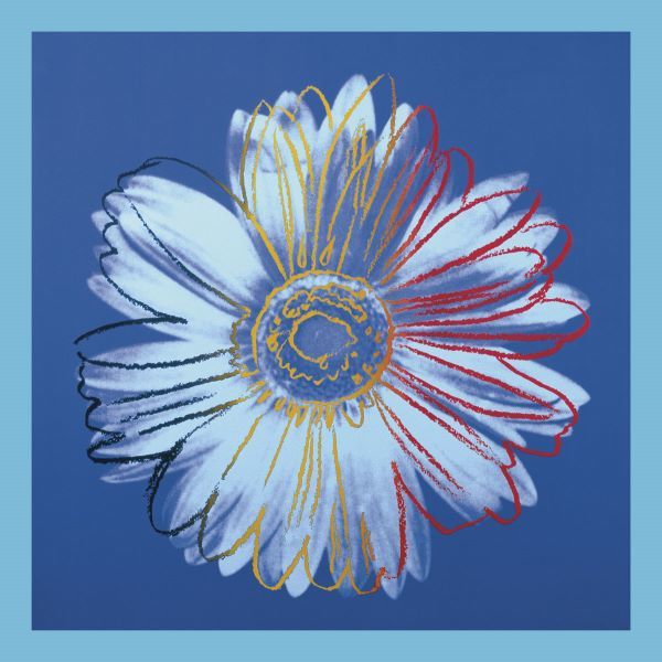 Daisy, c.1982 (blue on blue)