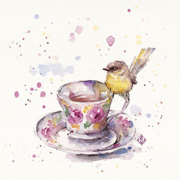 Tea Time (Eastern Yellow Robin)