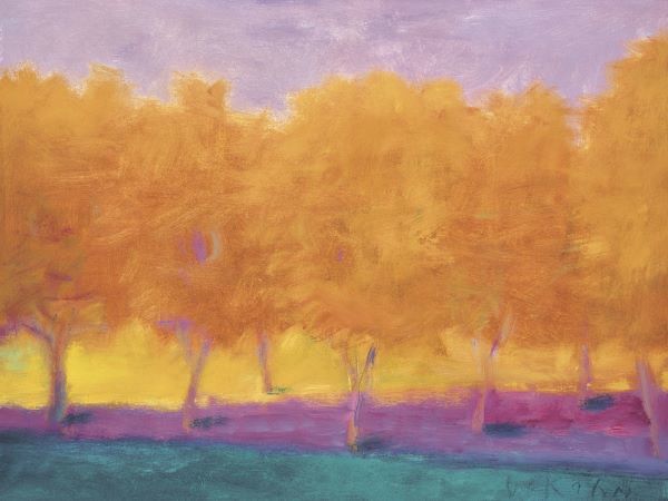 Yellow Trees