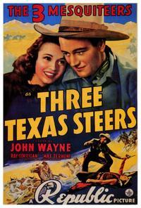 Three Texas Steers