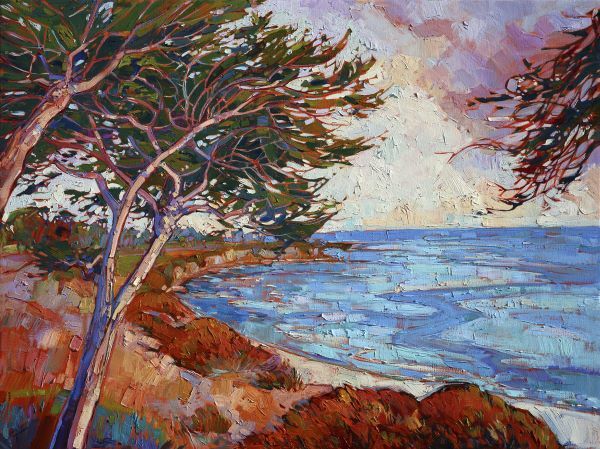 Monterey Cypress