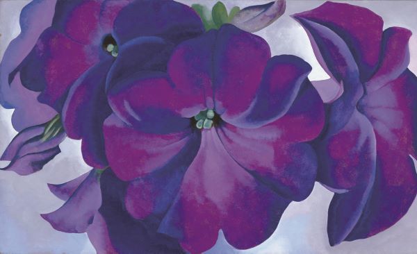 Petunias, 1925