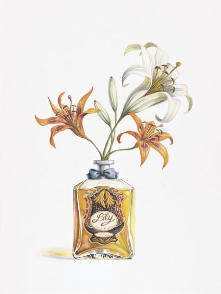 Lily Parfum