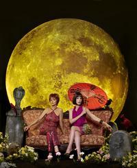 Pushing Daisies (TV)