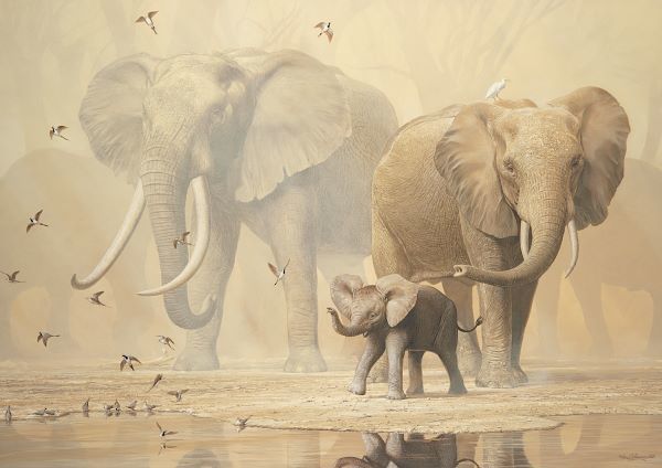 African Elephants and Namaqua Doves