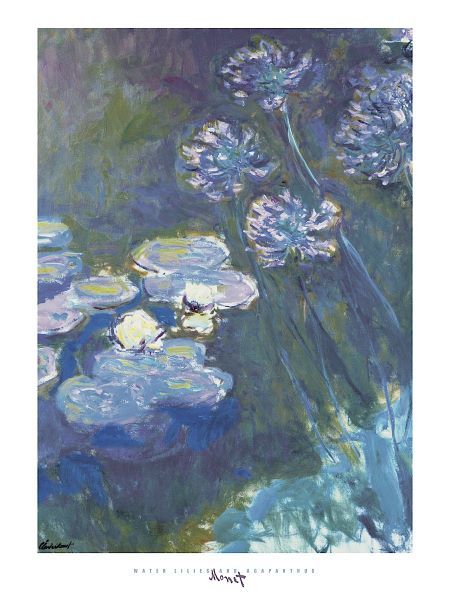 Water Lilies and Agapanthus, 1914-1917