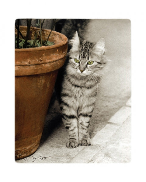 Minou