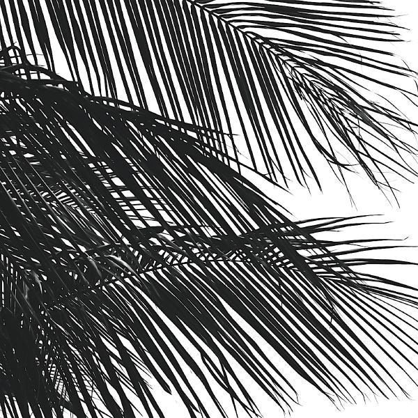 Palms 4 (detail)