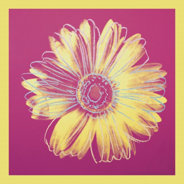 Daisy, c.1982 (fuchsia & yellow)