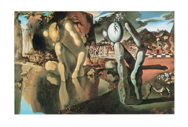 La Metamorfosi De Narciso