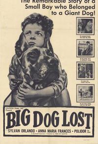 Big Dog Lost