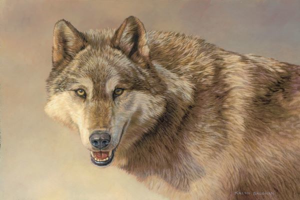 Wolf Portrait