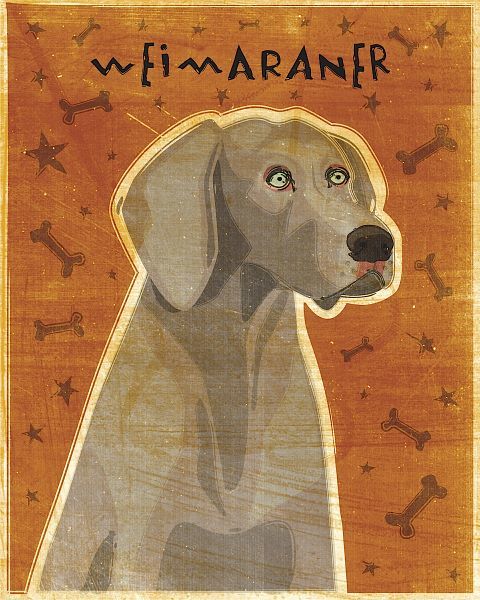 Weimaraner