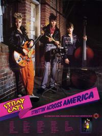 Stray Cats